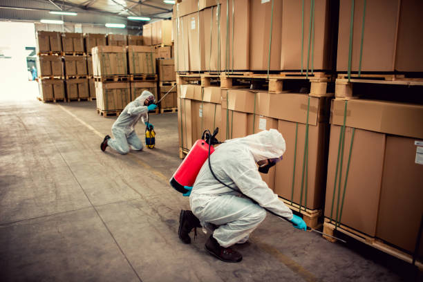 Best Ant Control Services  in Madrid, IA
