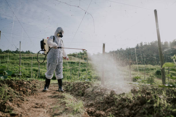 Best Pest Control for Homes  in Madrid, IA