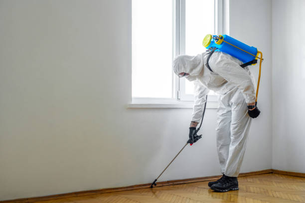 Trusted Madrid, IA Pest Control Experts