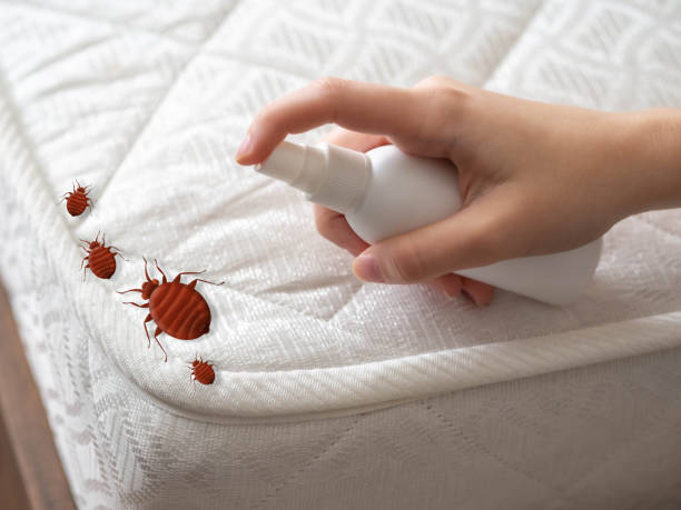 Best Affordable Pest Control Services  in Madrid, IA