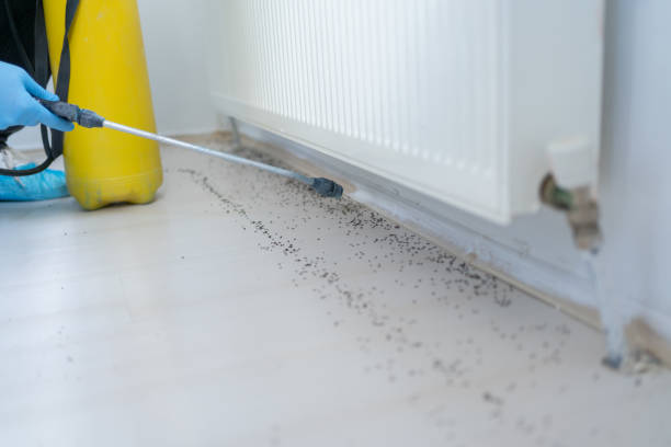 Best Bed Bug Extermination  in Madrid, IA