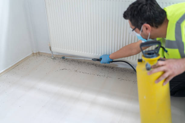 Professional Pest Control in Madrid, IA