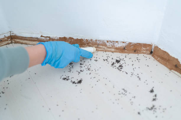 Best Emergency Pest Control  in Madrid, IA